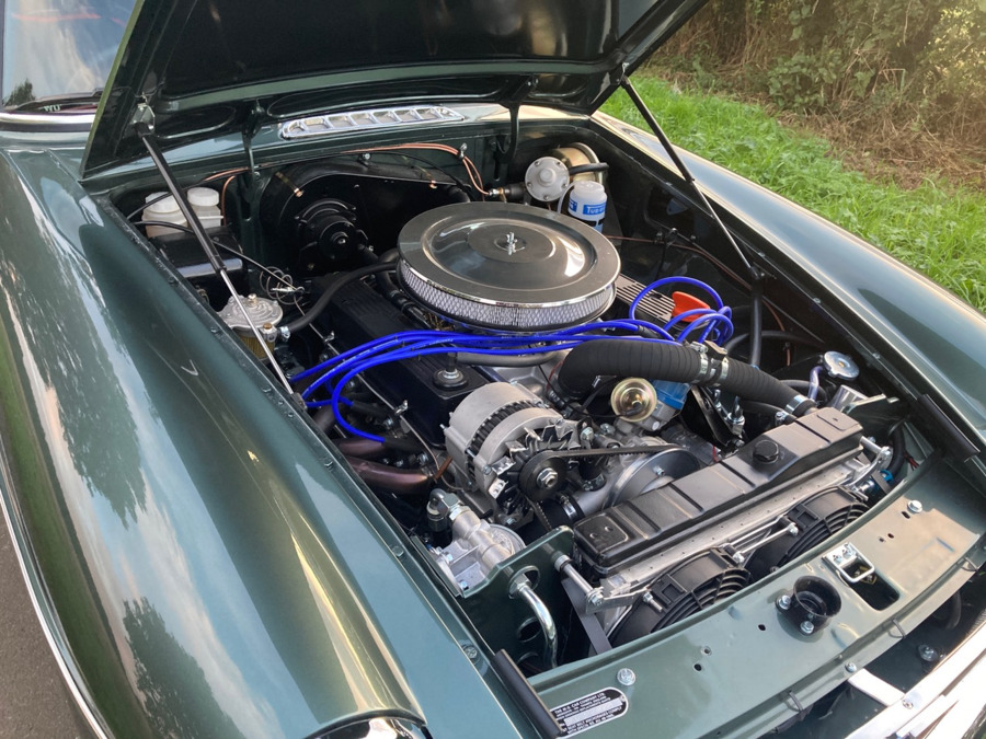 Which one is best for you?: News | Which one is best for you?