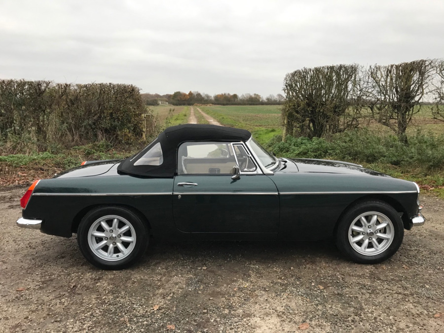 Which one is best for you?: News | Which one is best for you?